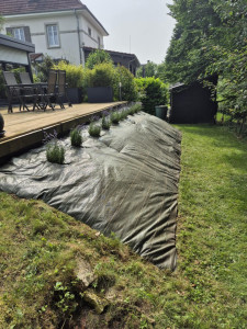 Photo de galerie - Pose d’une bâche et plantation de lavandes 