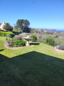 Photo de galerie - Entretien jardin