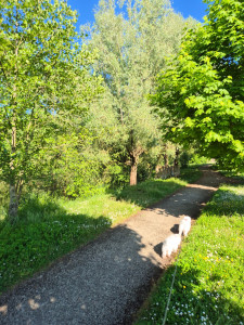 Photo de galerie - Harry et Toulouse en promenade