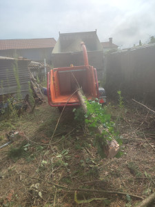 Photo de galerie - Broyage des branches 