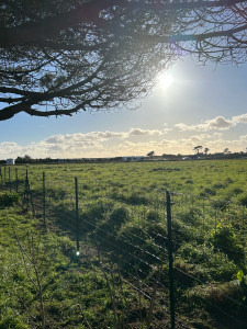 Photo de galerie - Clôture 