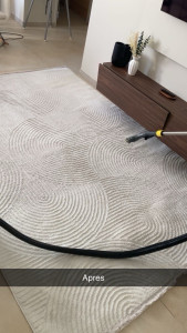 Photo de galerie - Nettoyage complet de tapis, traces et saletés éliminées