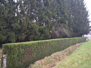 Photo de galerie - ???