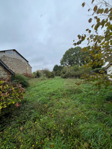 Photo de galerie - Débroussaillage Avant 