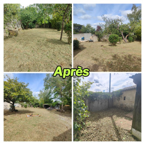 Photo de galerie - Après: gros chantier de débroussaillage + taille d'arbustes (environ 1000m2)