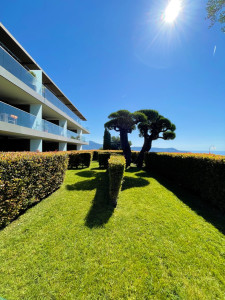 Photo de galerie - Tonte de pelouse - Débroussaillage