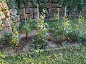 Photo de galerie - Jardinier