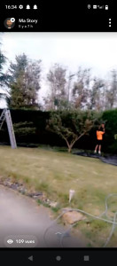 Photo de galerie - Elagage et coupe d'arbres