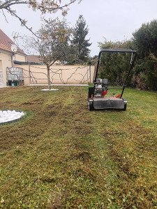 Photo de galerie - Scarification gazon, semis & terreautage