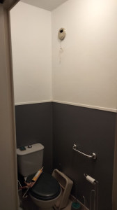 Photo de galerie - Detapisser et mise en peinture d'un wc