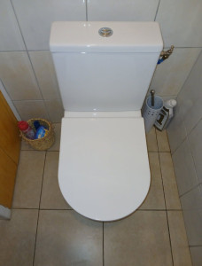 Photo de galerie - Remplacement de wc avec pipe d'évacuation, robinet d'arrivée d'eau et mise en service 