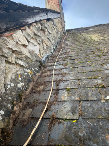 Photo de galerie - .