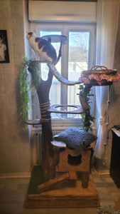 Photo de galerie - Création d'un arbre à chat p