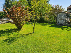 Photo de galerie - Paysagiste - Aménagement du jardin