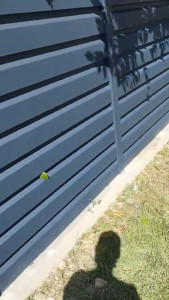 Photo de galerie - Pose de clôture 