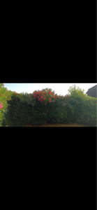 Photo de galerie - Avant 