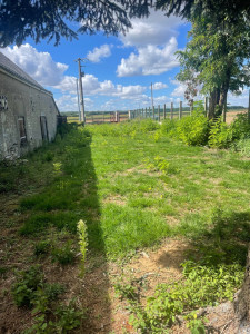 Photo de galerie - Tonte de pelouse - Débroussaillage