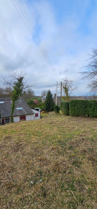 Photo de galerie - Taille de haies et d'arbustes