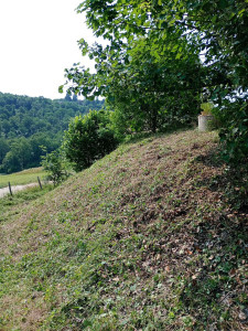 Photo de galerie - Tonte de pelouse - Débroussaillage