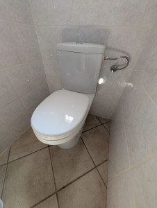 Photo de galerie - Remplacement d'un wc