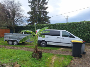 Photo de galerie - Taille de haies et d'arbustes