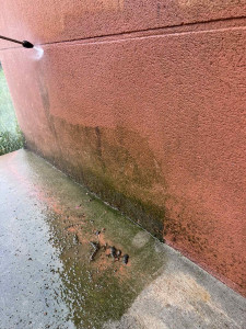 Photo de galerie - Jardinier