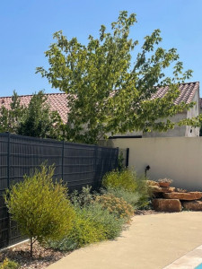 Photo de galerie - Haie diversifiée et adaptée. Ici, le camaïeu de feuillage met en lumière chaque espèce et les couleurs qui lui sont propres. Choix d'une palette végétale résistante au sec et au calcaire.
Bon végétal x bon endroit = jardin durable + jardiniers contents ;)