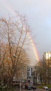 Photo de galerie - Gâteaux sur commande melun 
