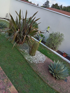 Photo de galerie - Implantation et arrosage intégré 
