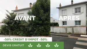 Photo de galerie - Elagage, Abattage d'arbre et Coupe d'arbre