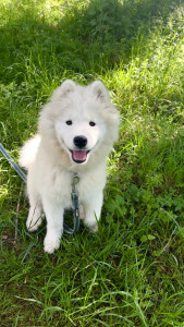 Photo de galerie - ARYA
