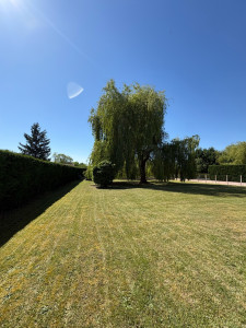 Photo de galerie - Tonte débroussaillage  travail propre 