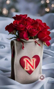 Photo de galerie - Accompagnement des personnes en pertes d’autonomie jour et nuit déplacement, courses, démarches administratives,,,