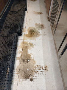 Photo de galerie - Nettoyage locaux commerciaux en profondeur
