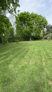 Photo de galerie - Tonte de pelouse 