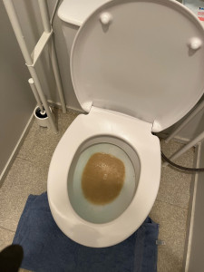Photo de galerie - Engorgement wc