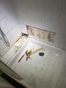 Photo de galerie - Réparation du mur de la salle de bain et réfection de l'étanchéité.