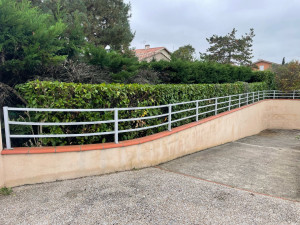 Photo de galerie - Taille de haie