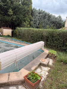 Photo de galerie - Taille de haie