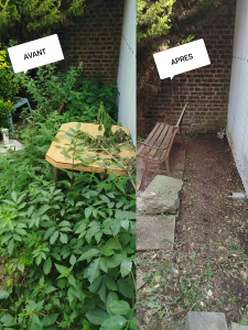 Photo de galerie - Nettoyage jardin 