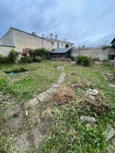 Photo de galerie - Nettoyage d’un jardin complet