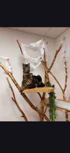 Photo de galerie - Mada et garscar 