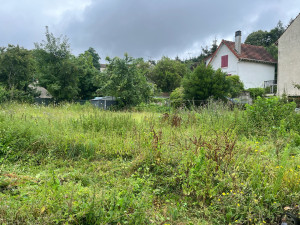 Photo de galerie - Débroussaillage d’un terrain 