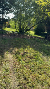 Photo de galerie - Évacuation gravats 