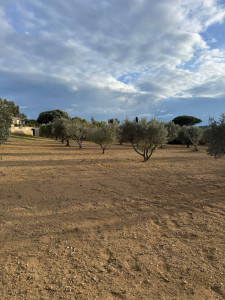 Photo de galerie - Paysagiste - Aménagement du jardin