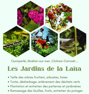 Photo de galerie - Tonte de pelouse - Débroussaillage