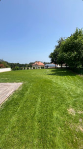 Photo de galerie - Engazonnement 