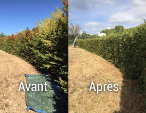 Photo de galerie - Super boulot un plaisir à réaliser
