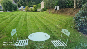 Photo de galerie - Entretien régulier de pelouse