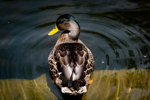 Photo de galerie - Un jolie souvenir d'une jolie balade